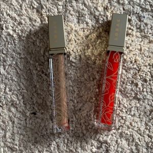 Lorac lipglosses and Anastasia modern renaissance